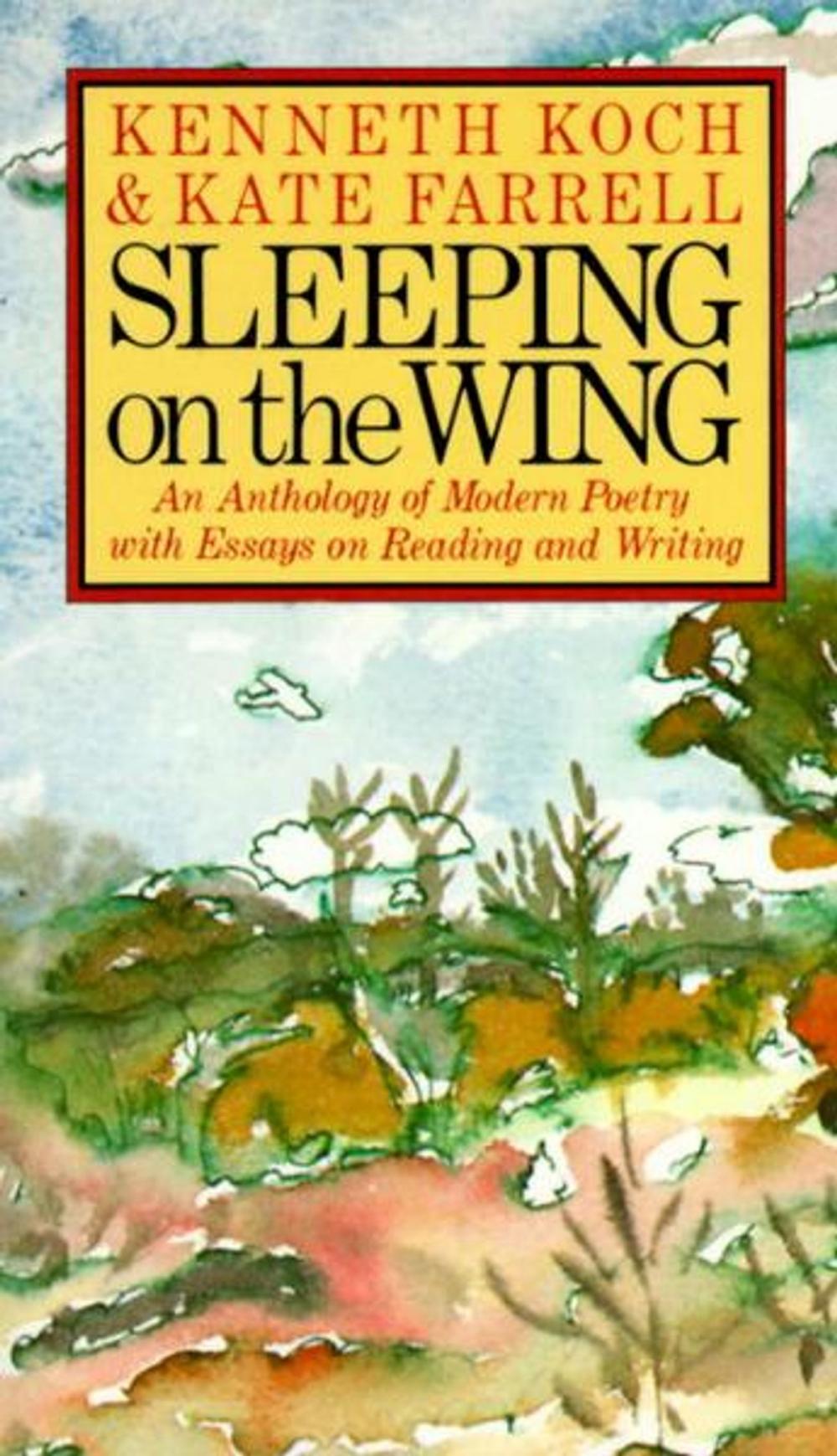 Big bigCover of Sleeping on the Wing