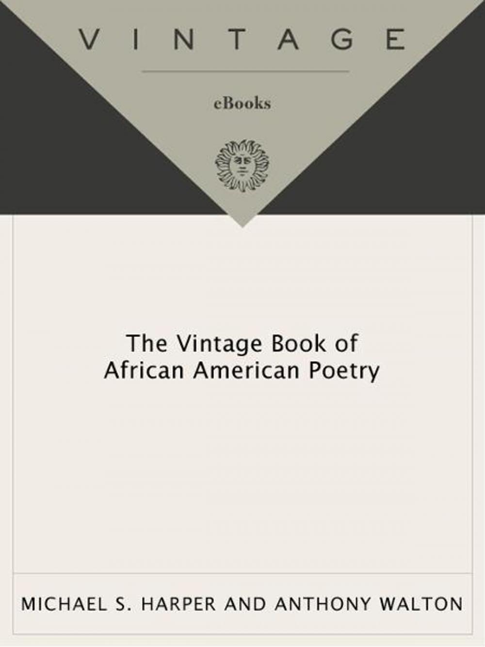 Big bigCover of The Vintage Book of African American Poetry