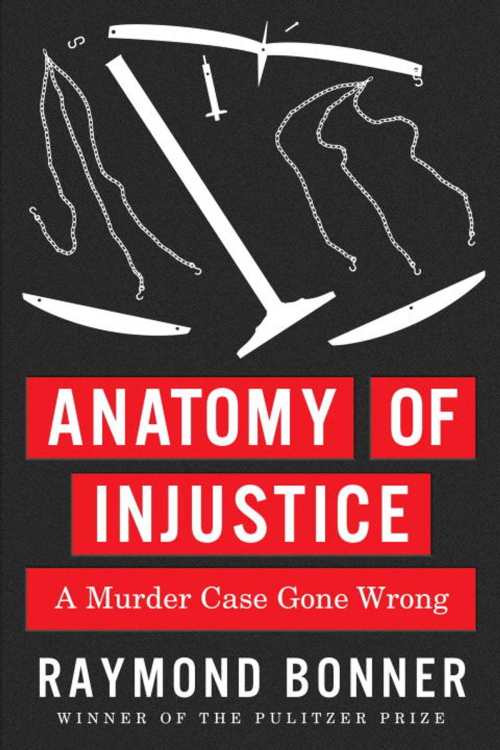 Big bigCover of Anatomy of Injustice