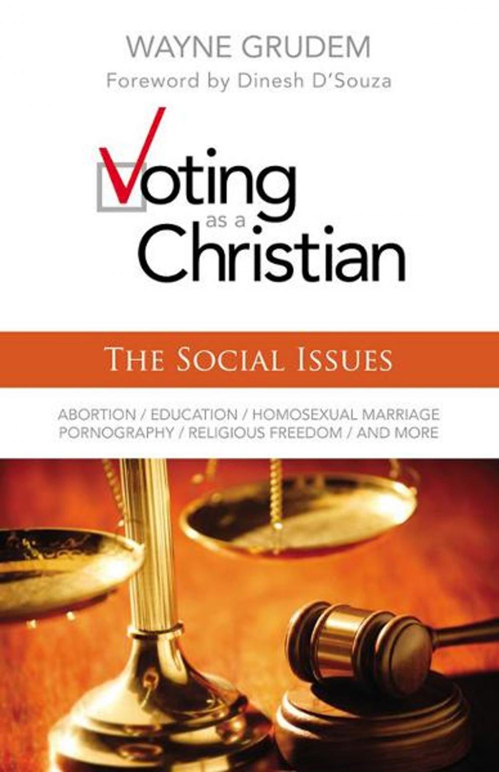 Big bigCover of Voting as a Christian: The Social Issues