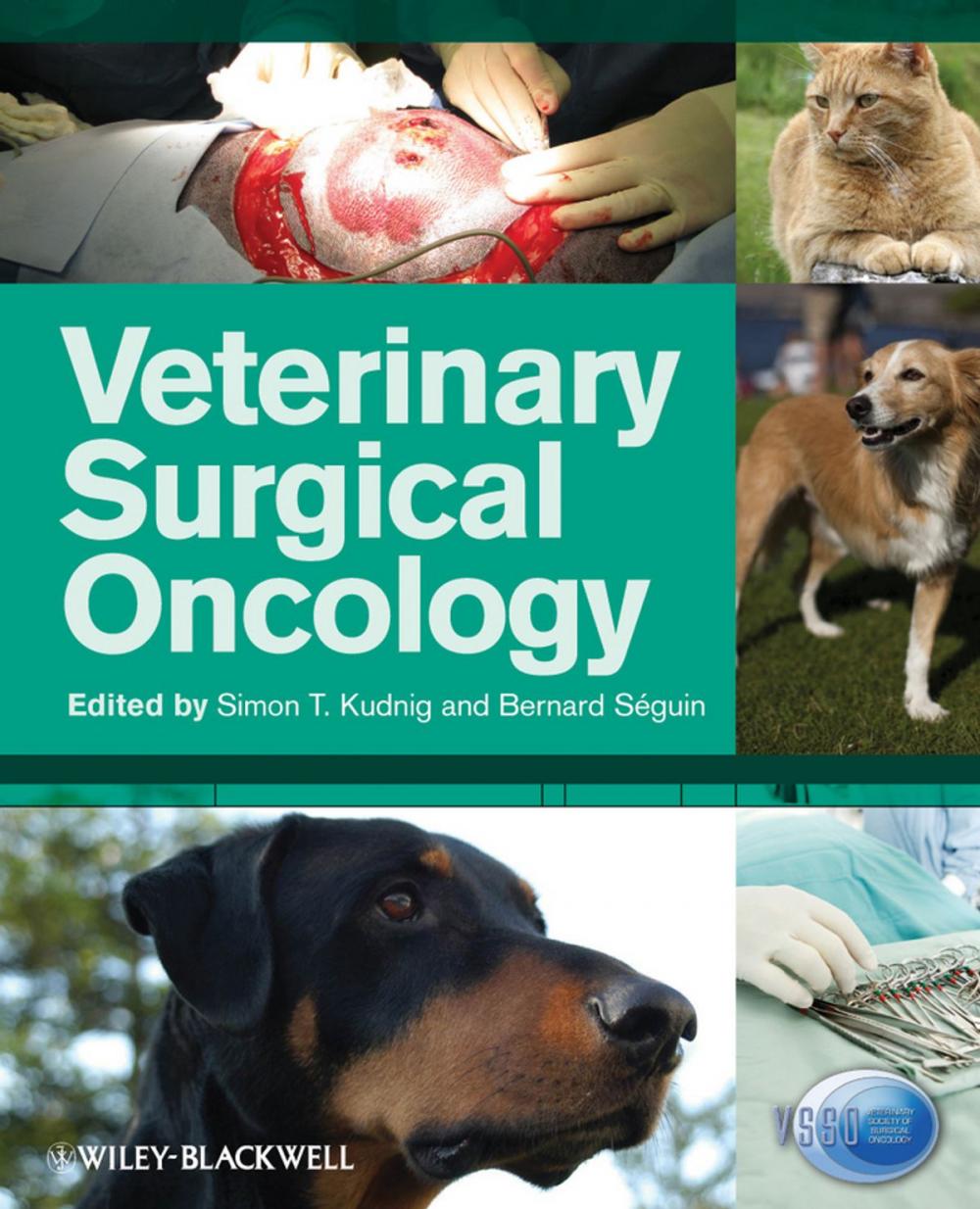 Big bigCover of Veterinary Surgical Oncology