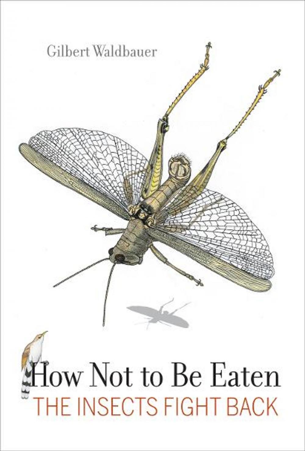 Big bigCover of How Not to Be Eaten