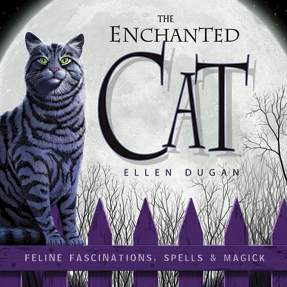 Big bigCover of The Enchanted Cat