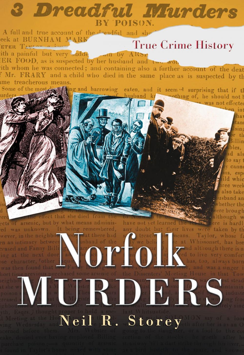 Big bigCover of Norfolk Murders