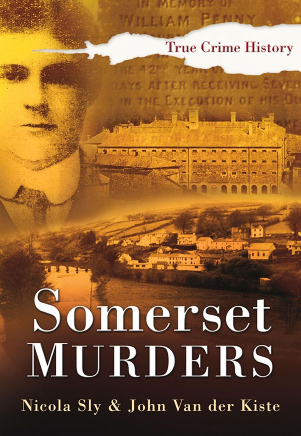 Big bigCover of Somerset Murders