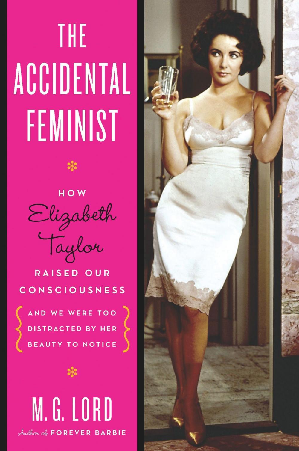 Big bigCover of The Accidental Feminist