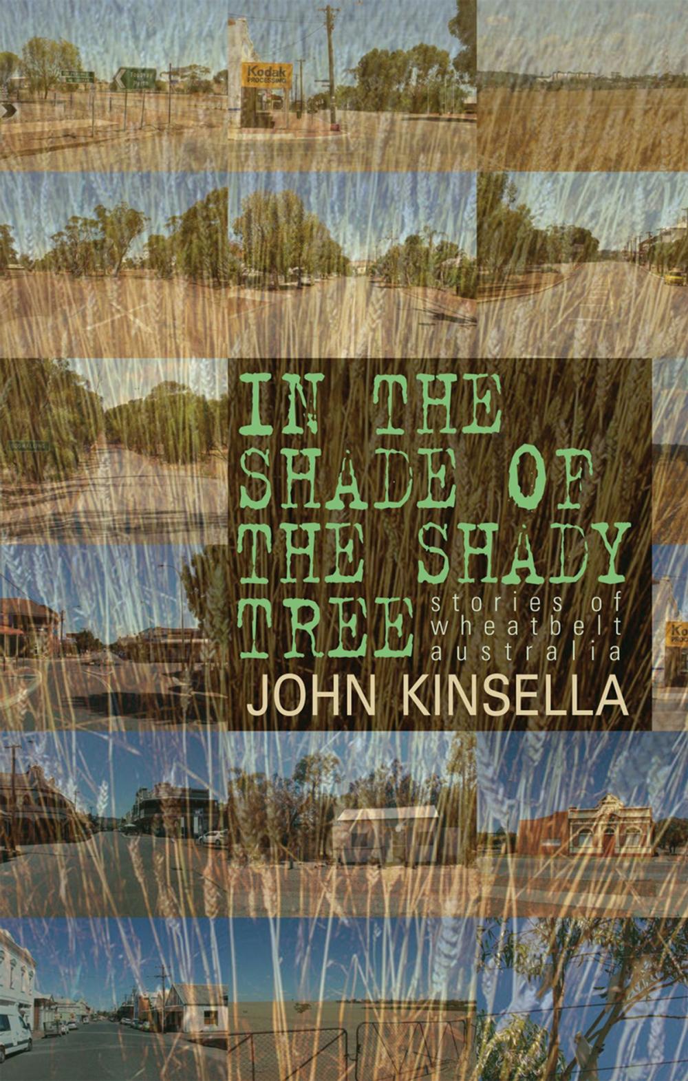 Big bigCover of In the Shade of the Shady Tree