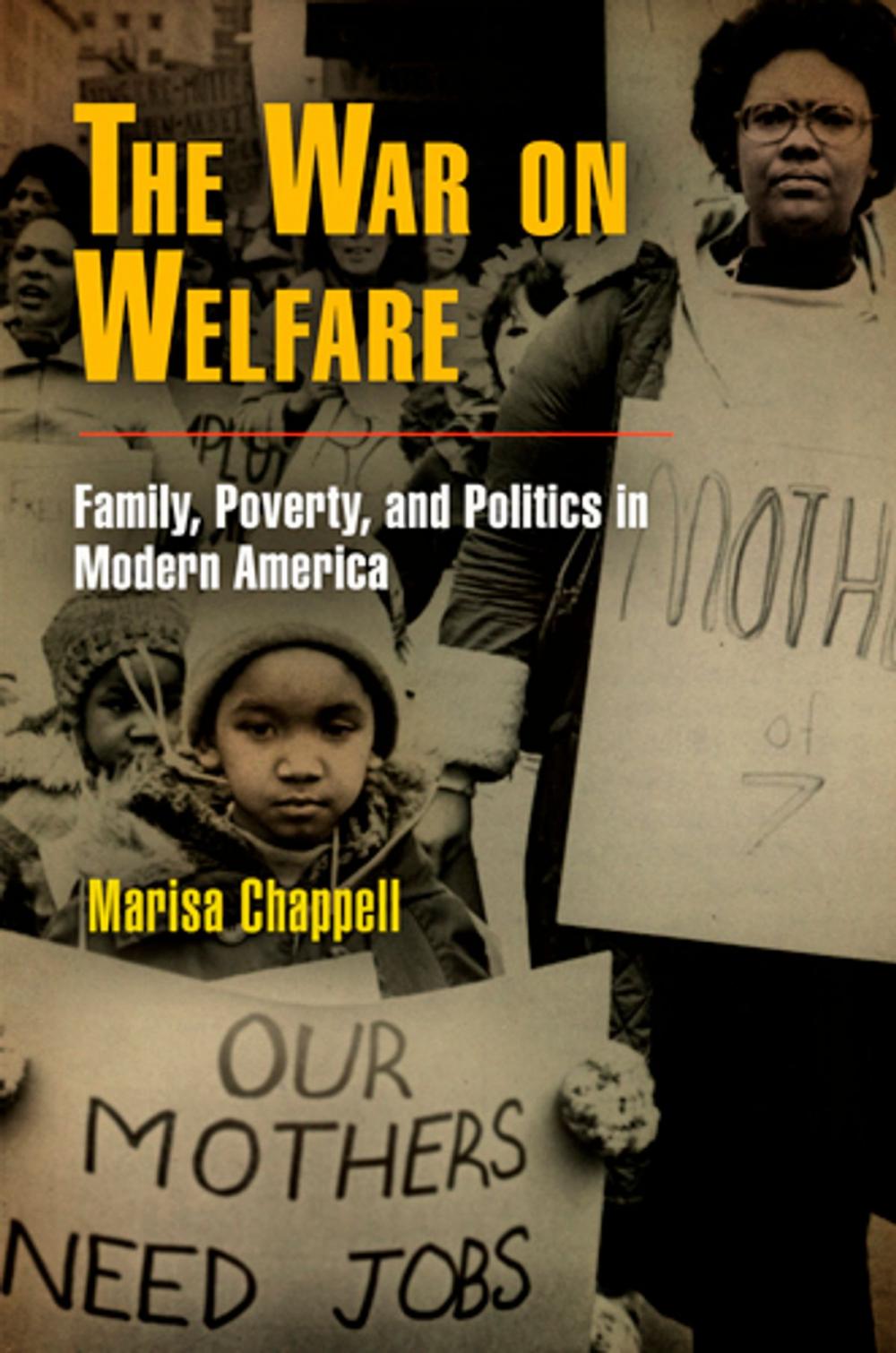 Big bigCover of The War on Welfare