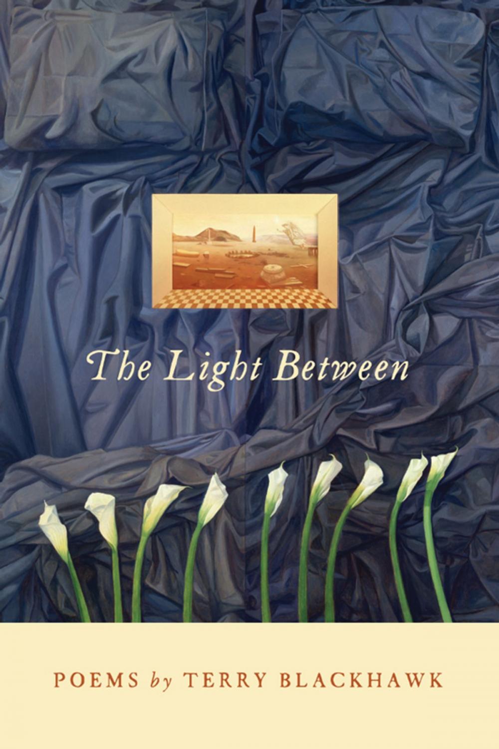 Big bigCover of The Light Between