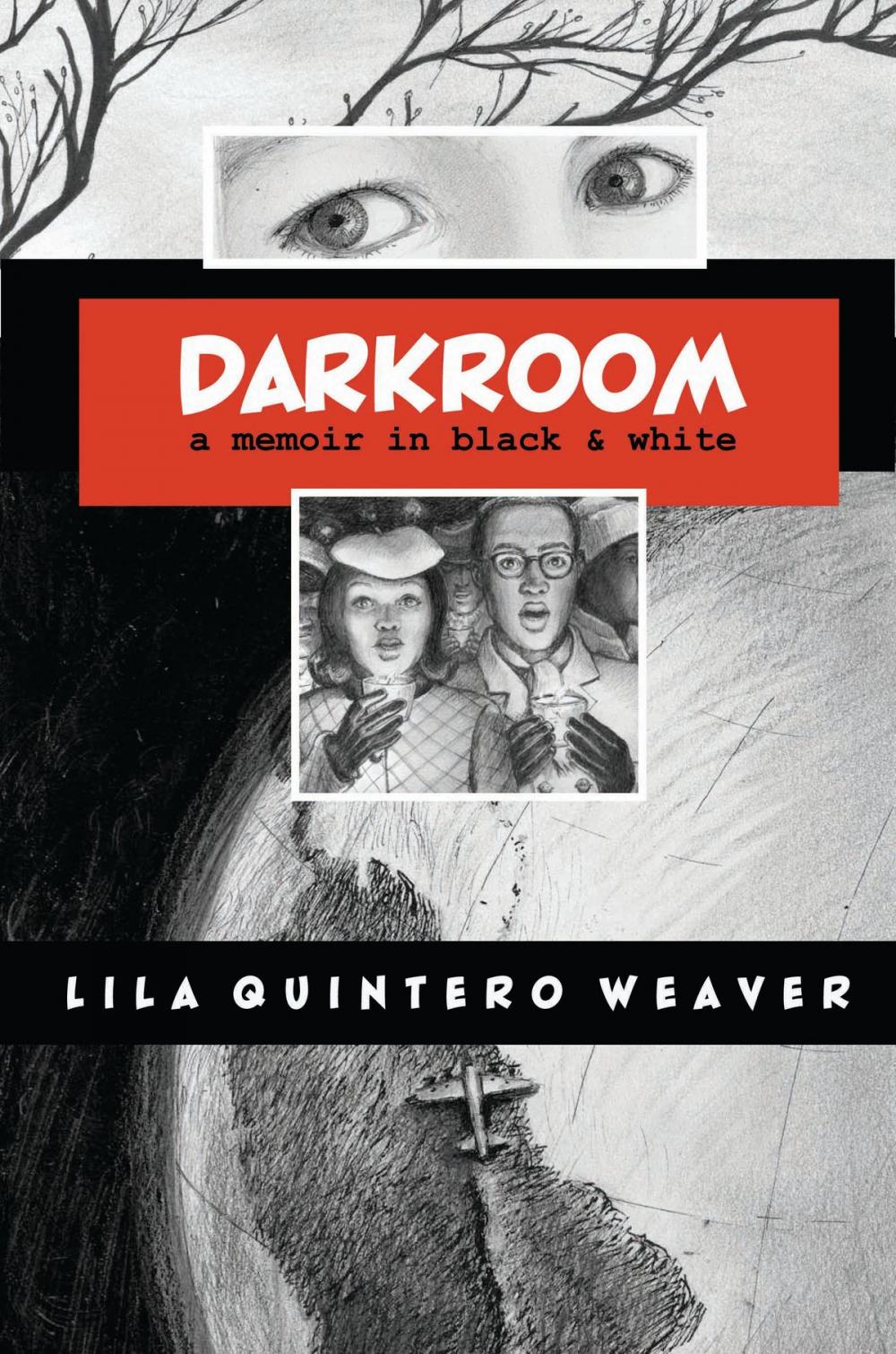 Big bigCover of Darkroom