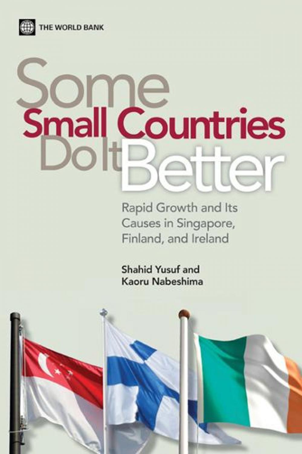 Big bigCover of Some Small Countries Do It Better: Rapid Growth and Its Causes in Singapore, Finland, and Ireland