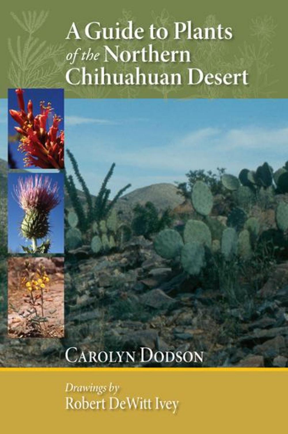 Big bigCover of A Guide to Plants of the Northern Chihuahuan Desert