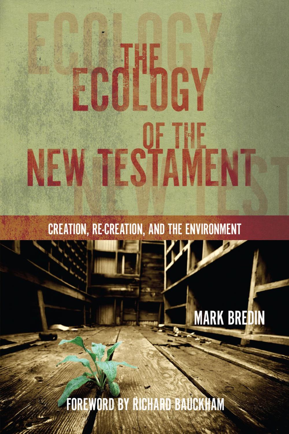 Big bigCover of The Ecology of the New Testament