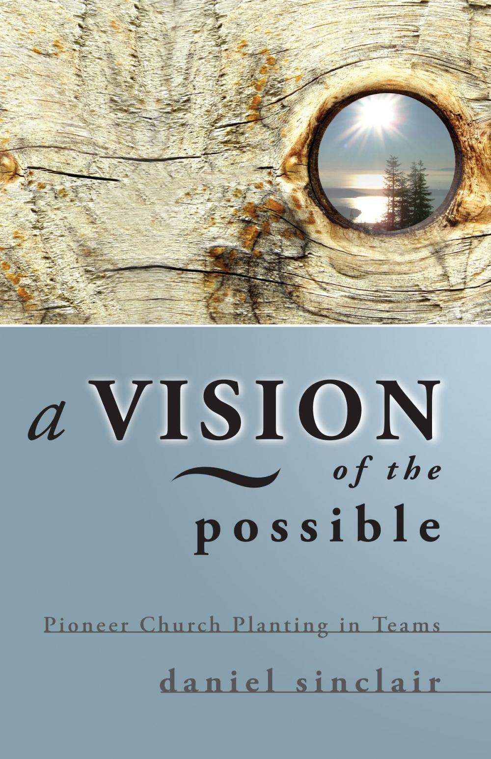 Big bigCover of A Vision of the Possible