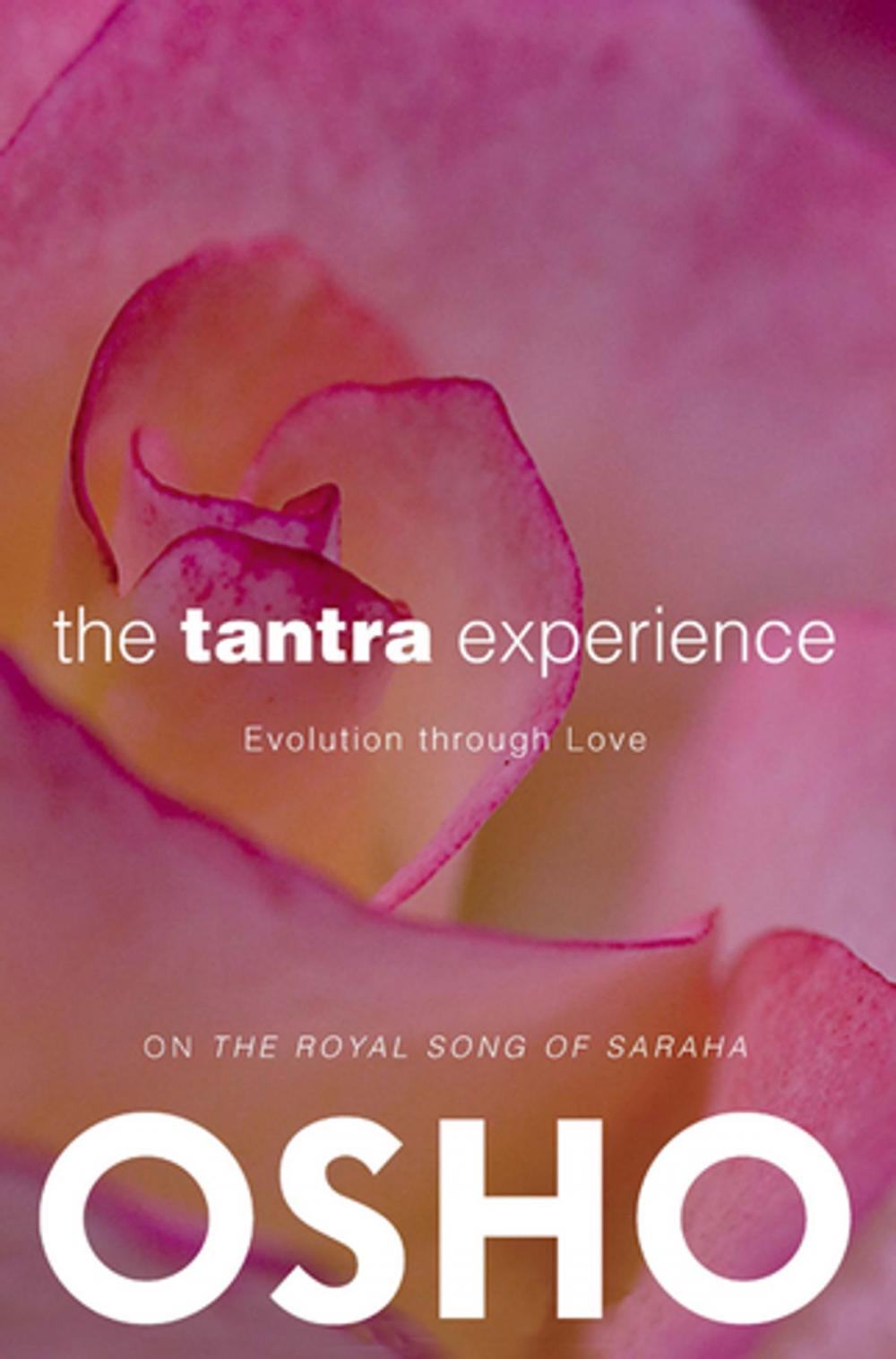 Big bigCover of The Tantra Experience