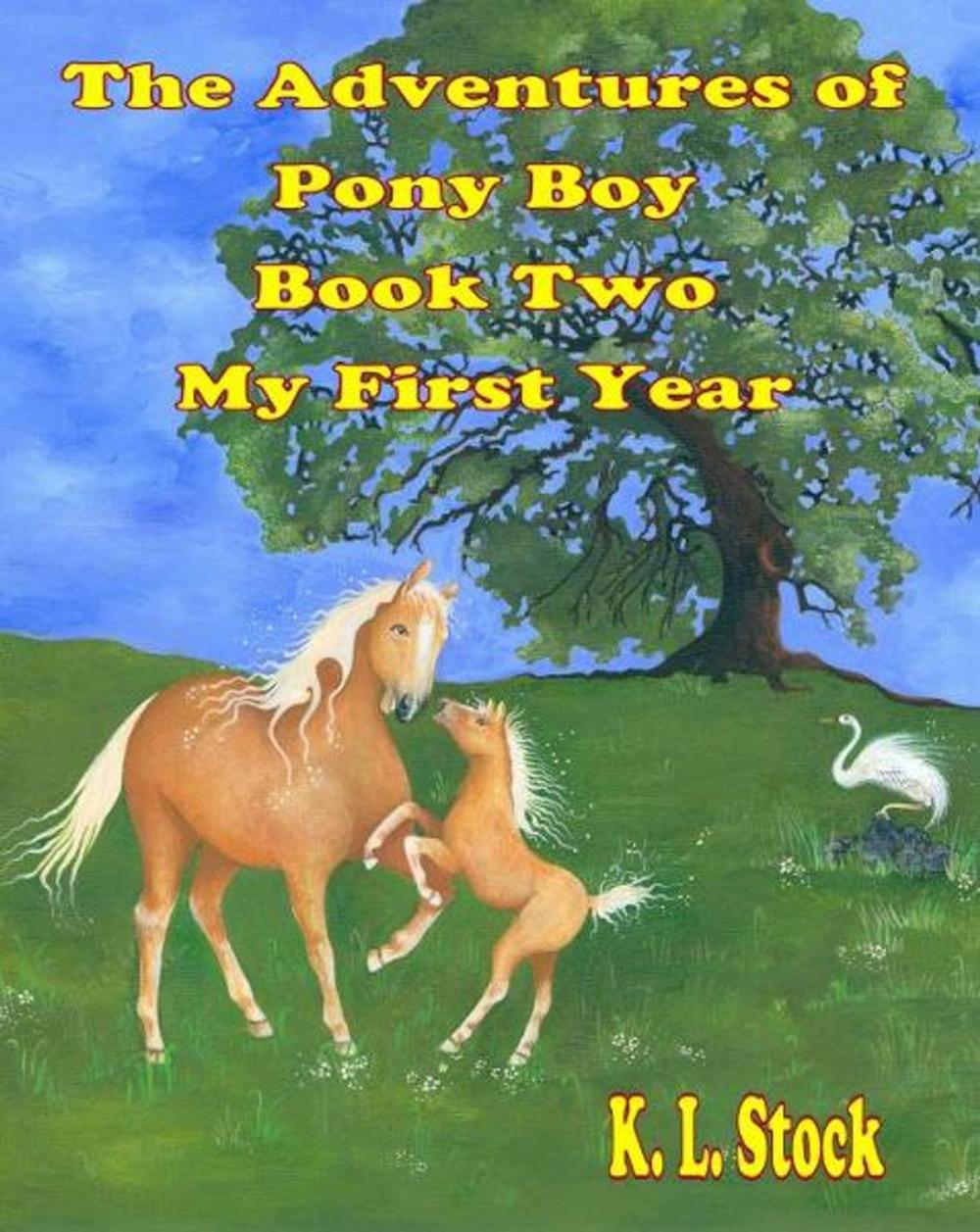 Big bigCover of The Adventures of Pony Boy Book Two: My First Year