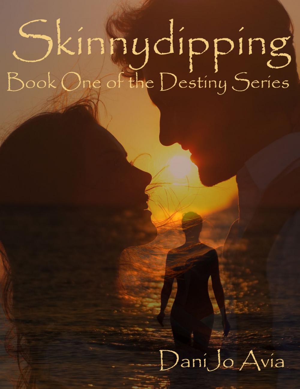 Big bigCover of Skinnydipping, 2.0 Book One of the Destiny Series