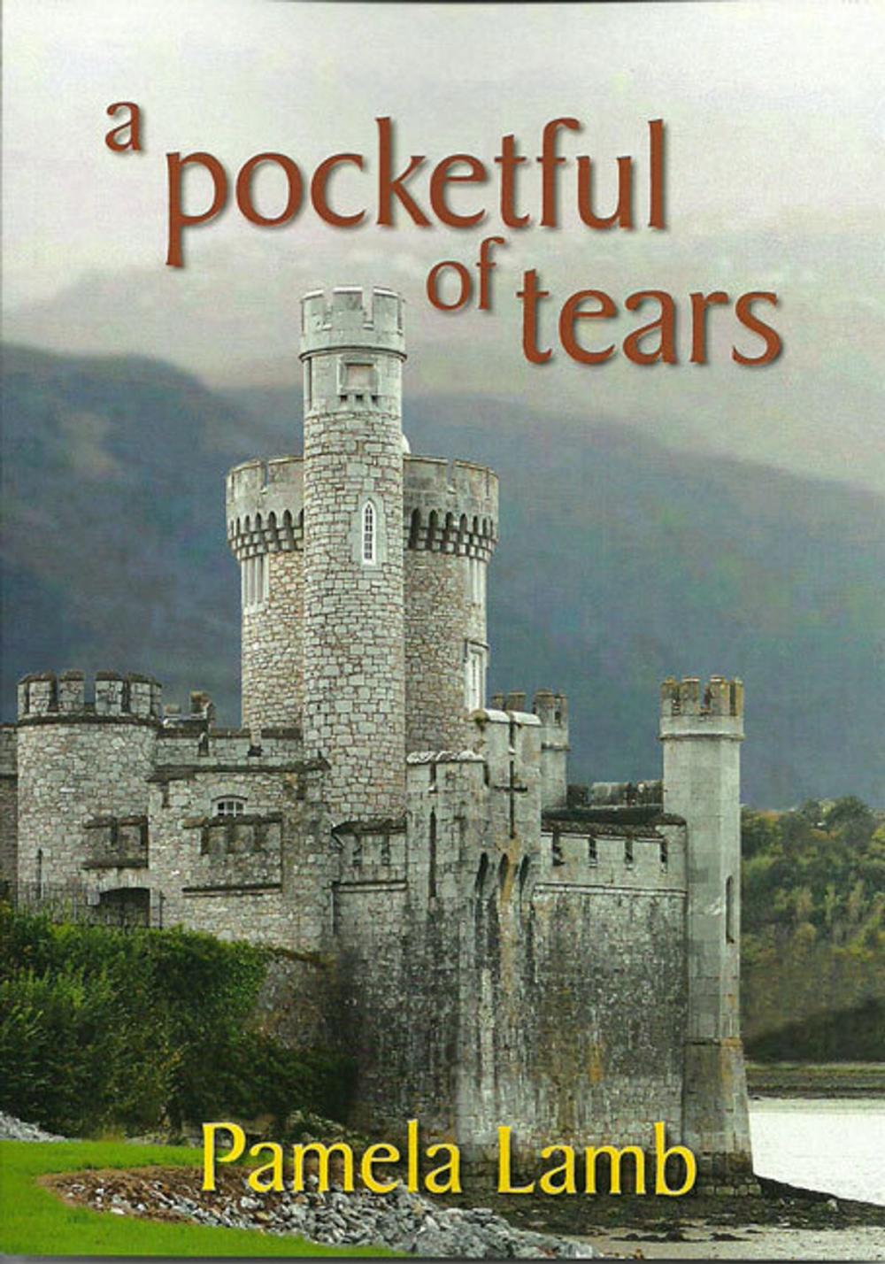 Big bigCover of A Pocketful of Tears (Dragon series Book Two)