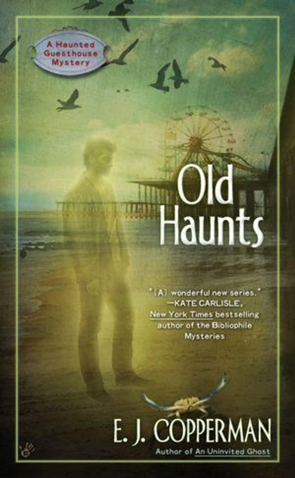 Big bigCover of Old Haunts