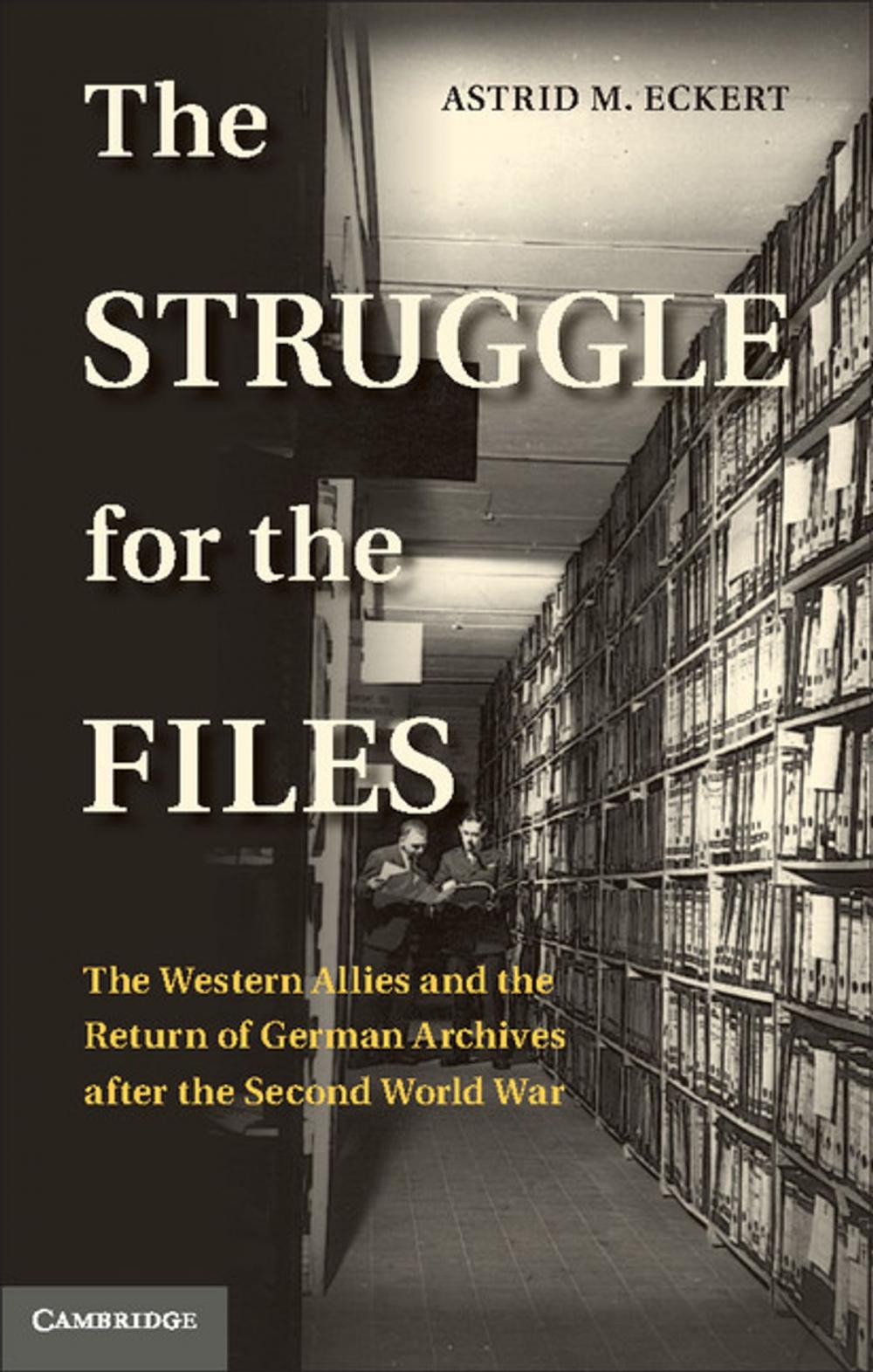 Big bigCover of The Struggle for the Files