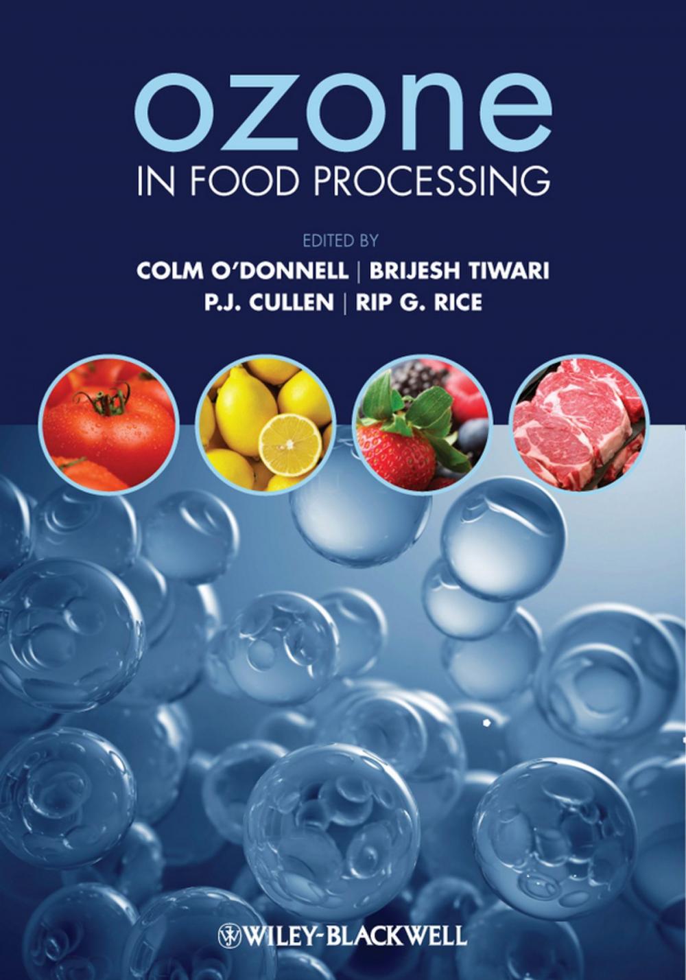 Big bigCover of Ozone in Food Processing