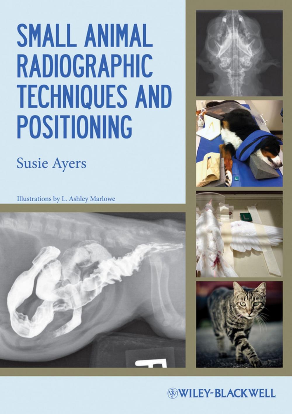 Big bigCover of Small Animal Radiographic Techniques and Positioning