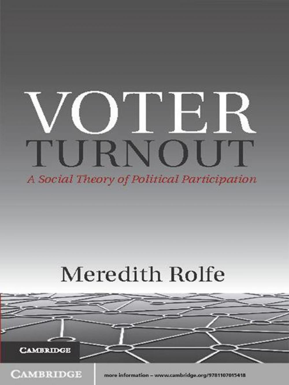 Big bigCover of Voter Turnout