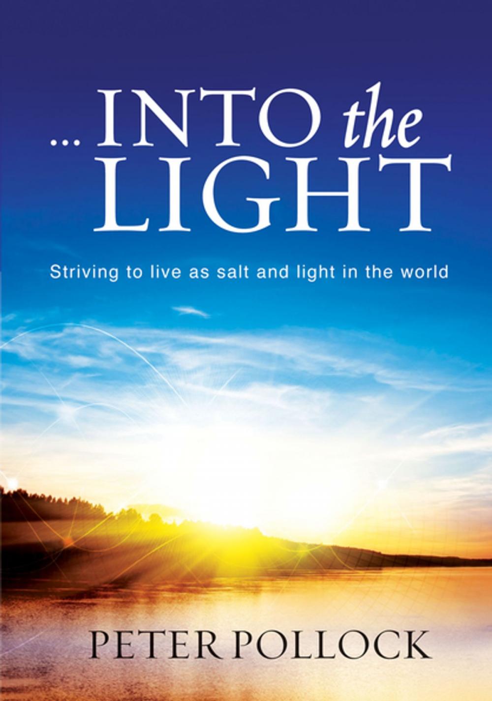 Big bigCover of ... Into the Light (eBook)