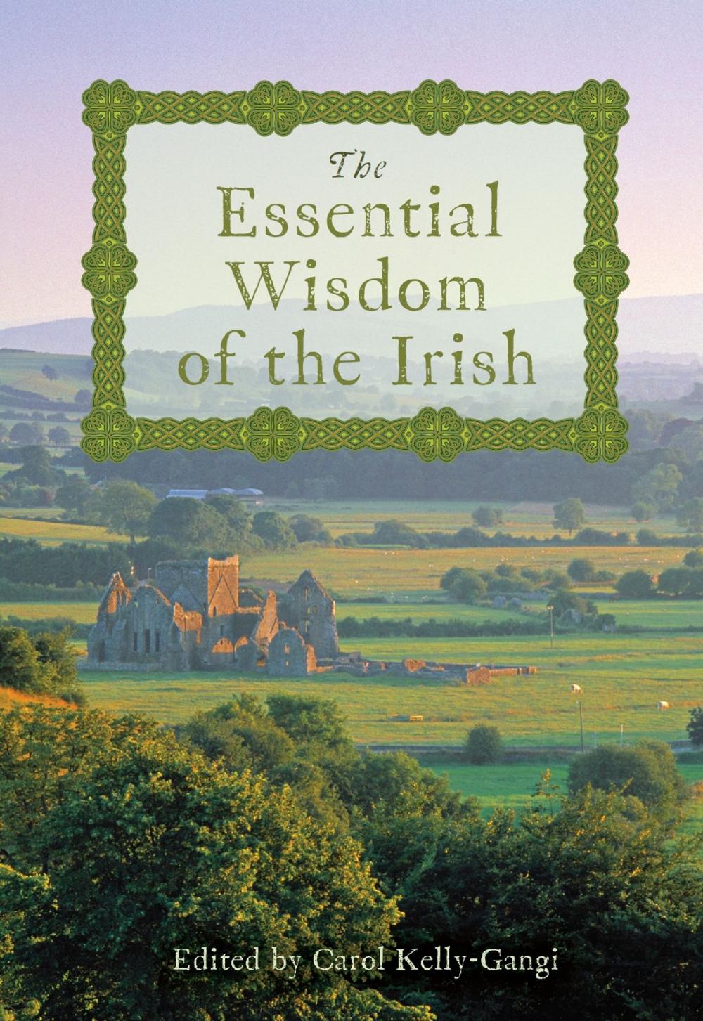 Big bigCover of The Essential Wisdom of the Irish