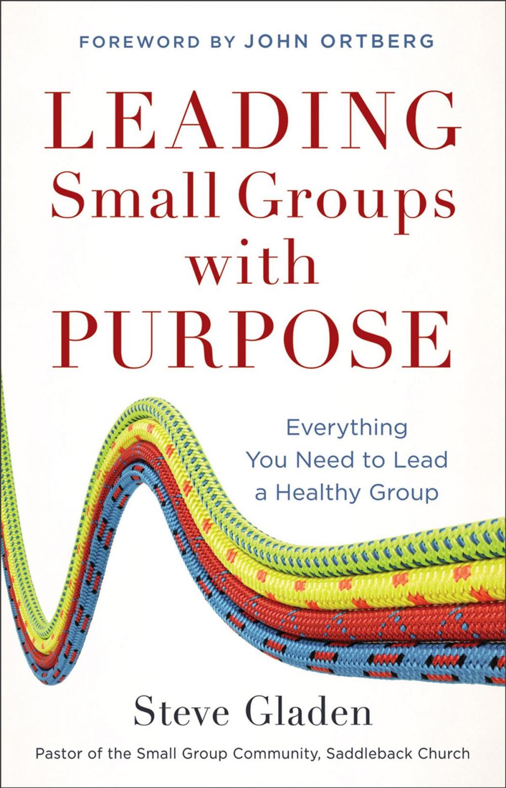 Big bigCover of Leading Small Groups with Purpose