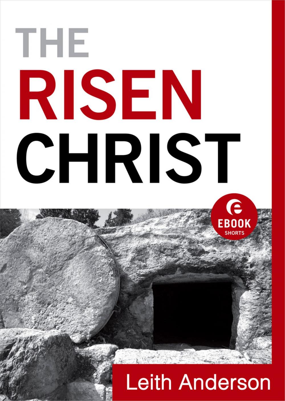 Big bigCover of The Risen Christ (Ebook Shorts)