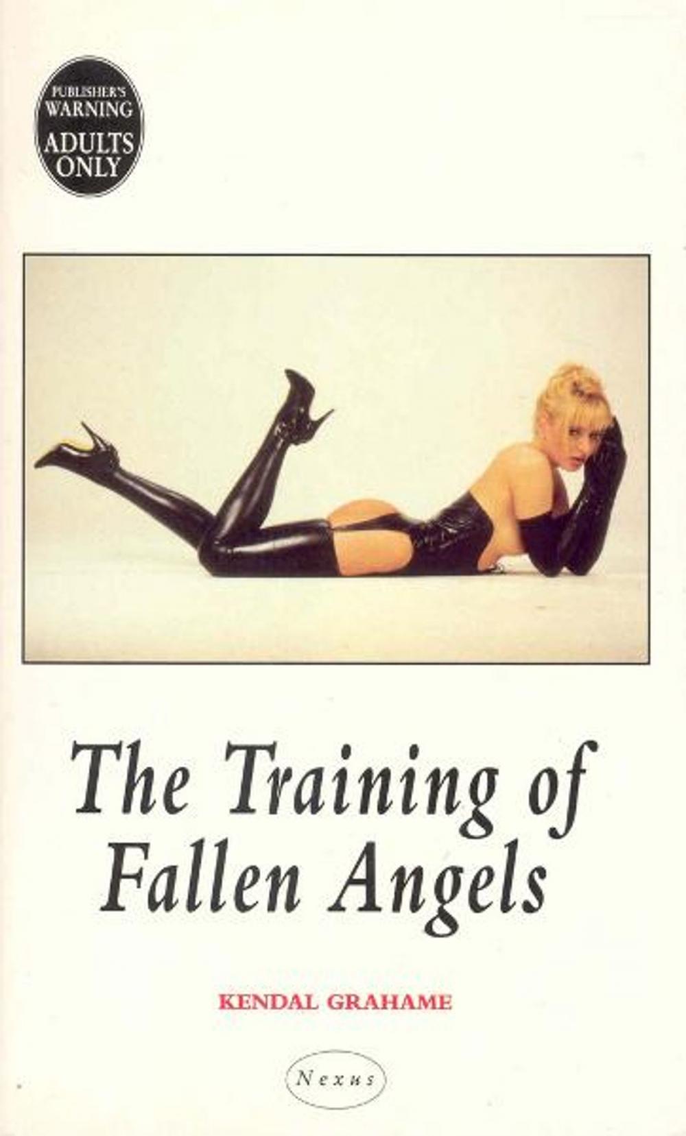 Big bigCover of The Training Of Fallen Angels