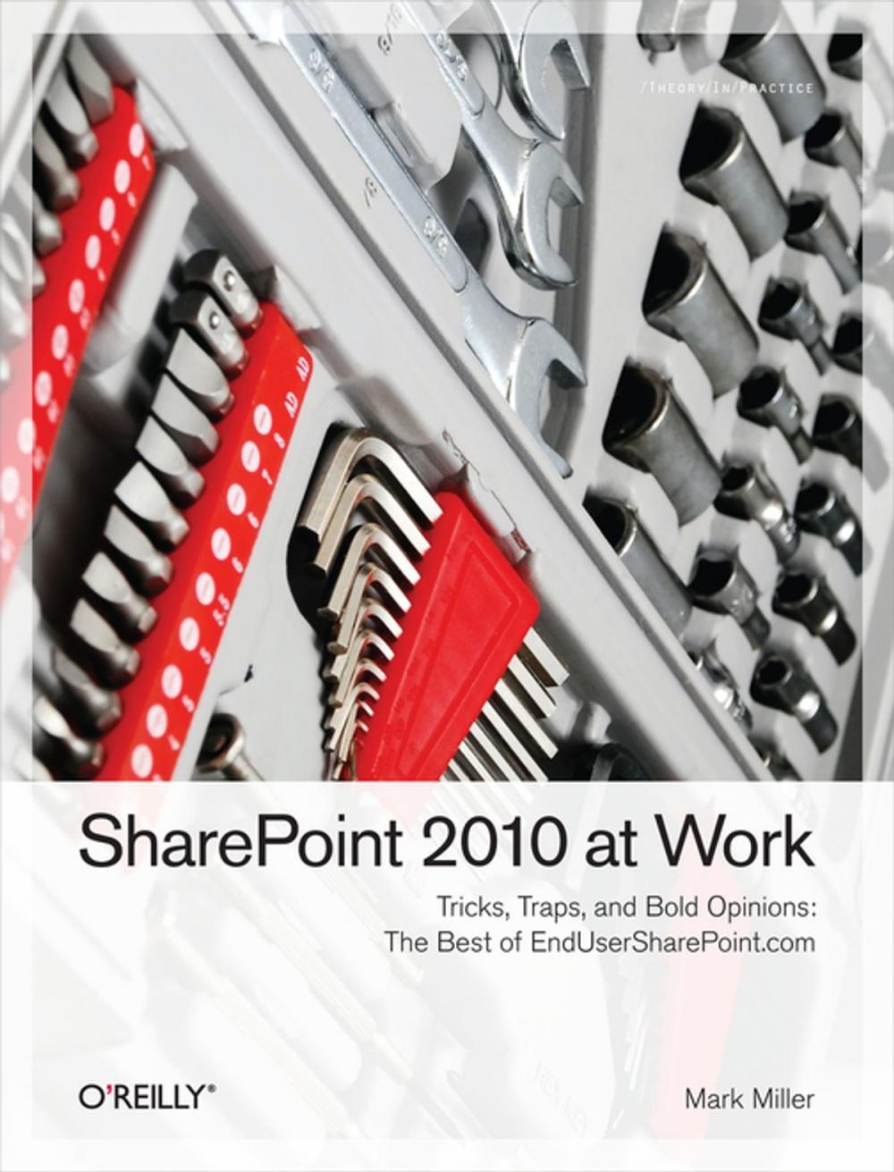 Big bigCover of SharePoint 2010 at Work