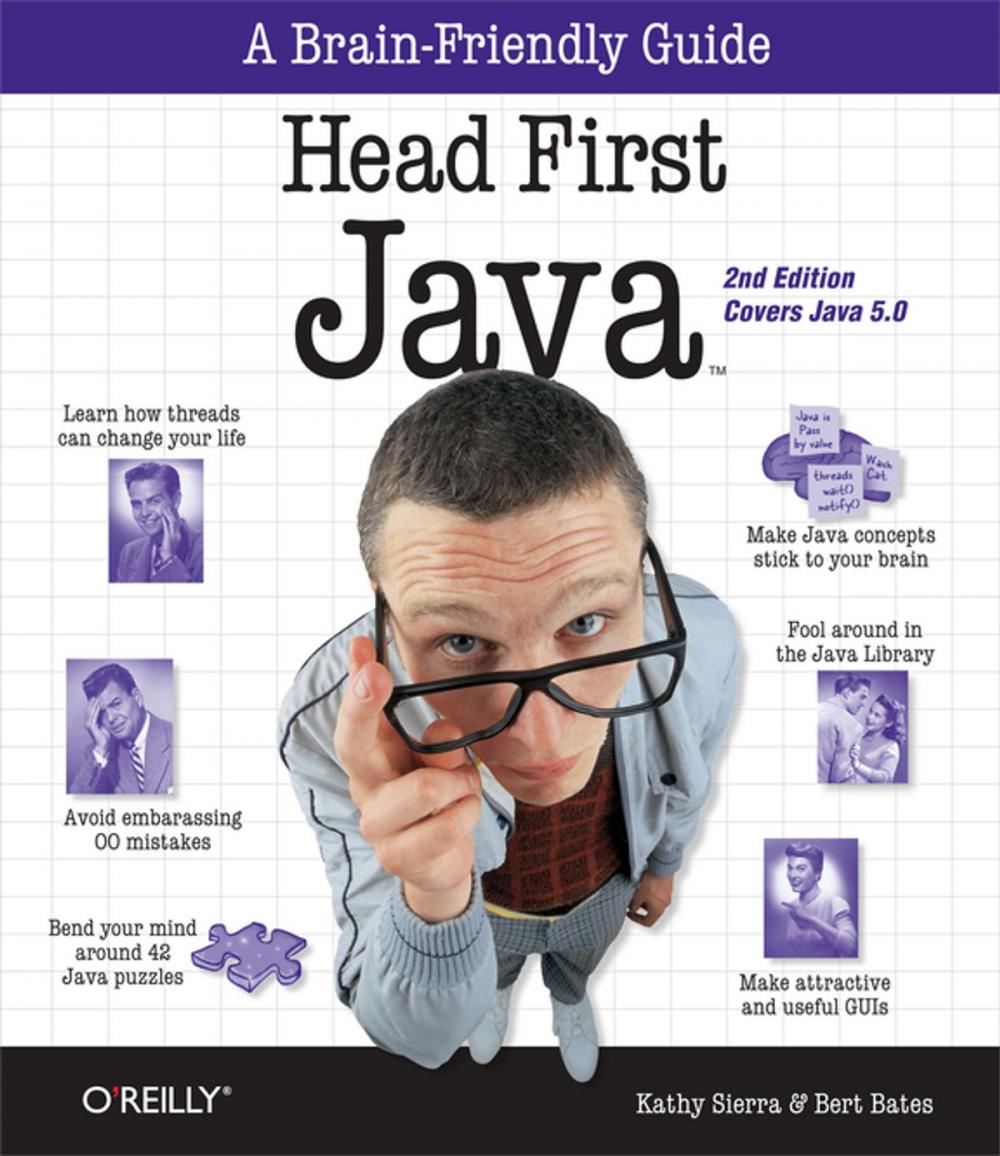 Big bigCover of Head First Java