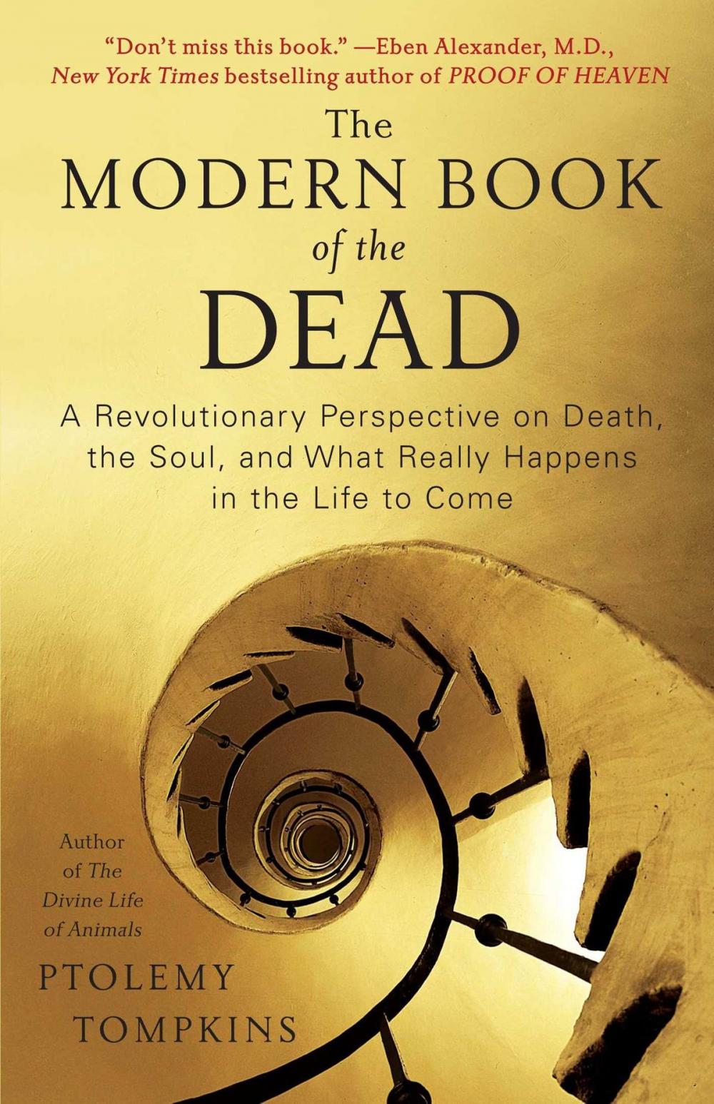 Big bigCover of The Modern Book of the Dead