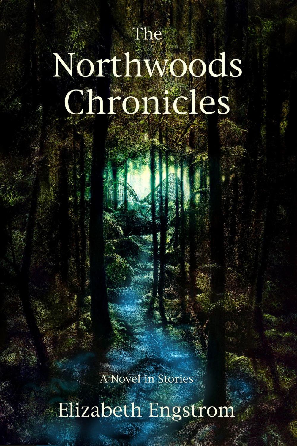 Big bigCover of The Northwoods Chronicles: A Novel in Short Stories