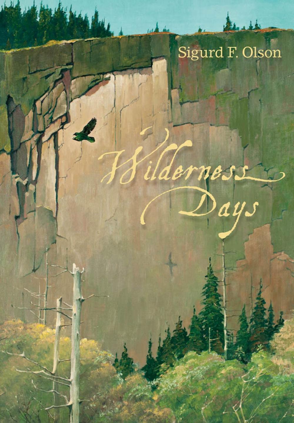 Big bigCover of Wilderness Days