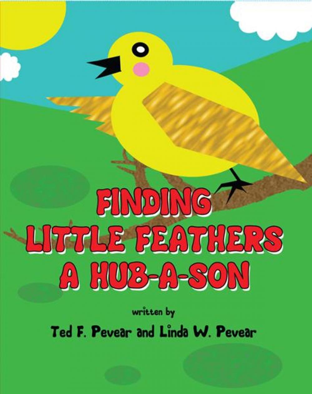 Big bigCover of Finding Little Feathers A Hub-A-Son