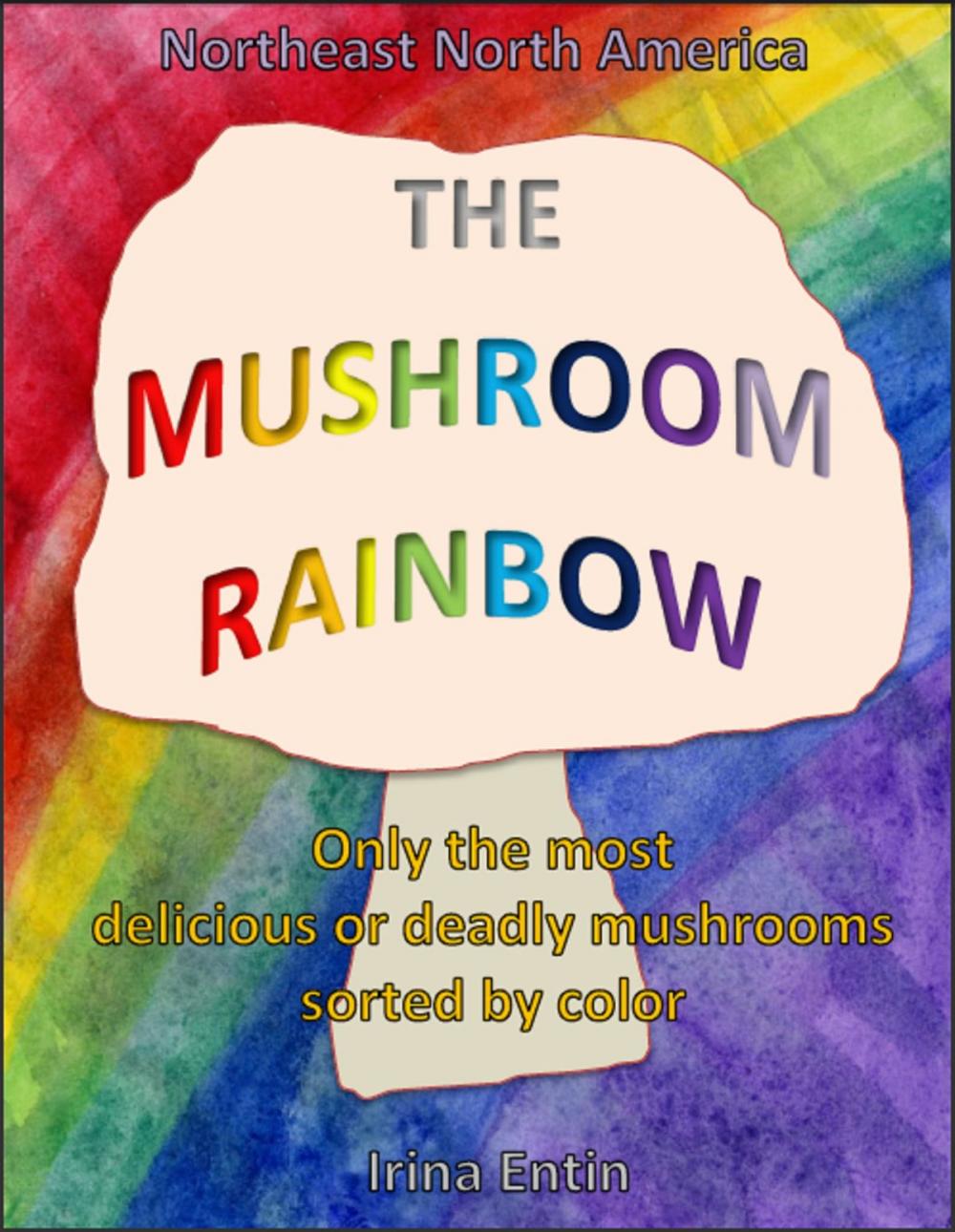 Big bigCover of The Mushroom Rainbow