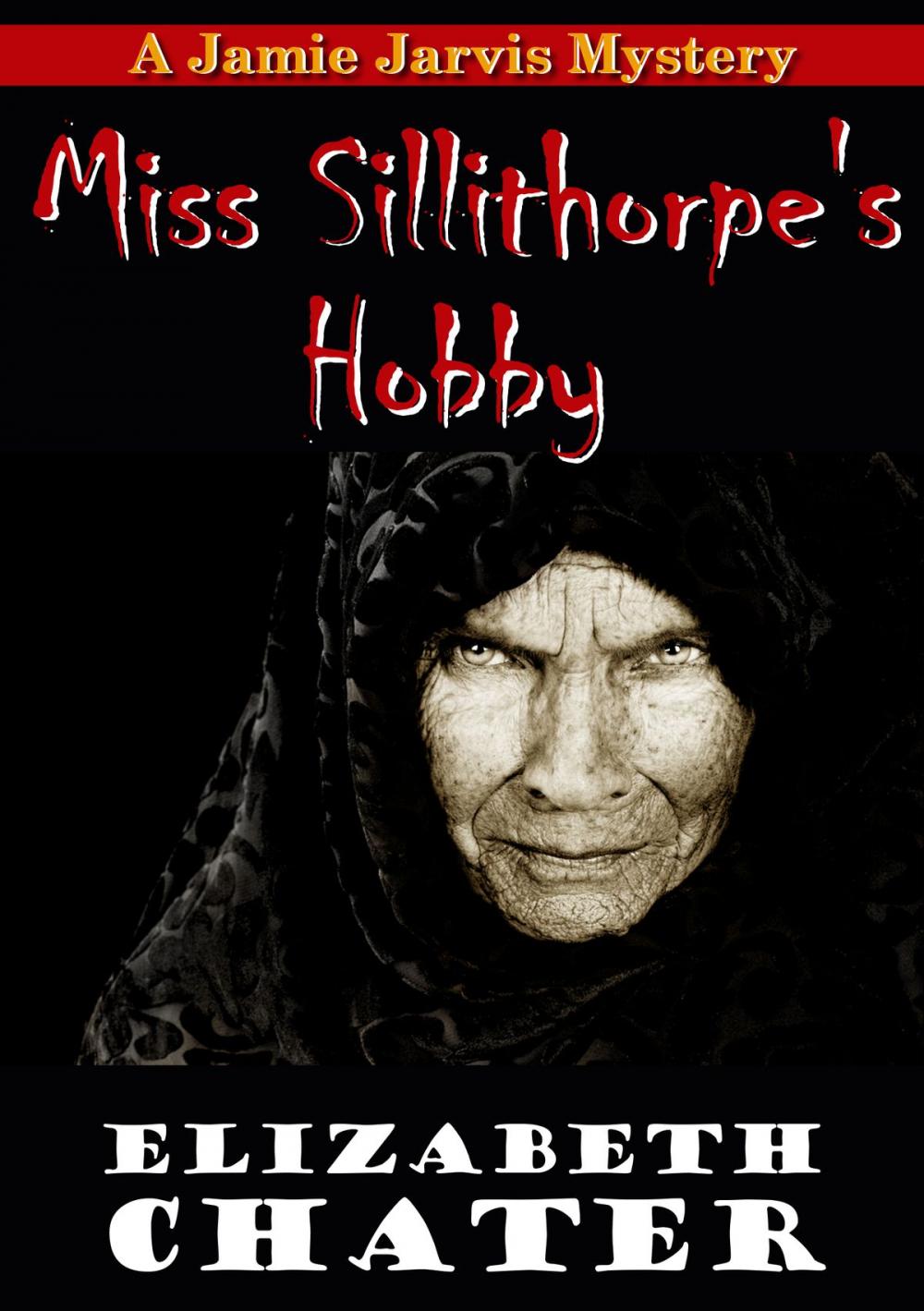 Big bigCover of Miss Sillithorpe's Hobby