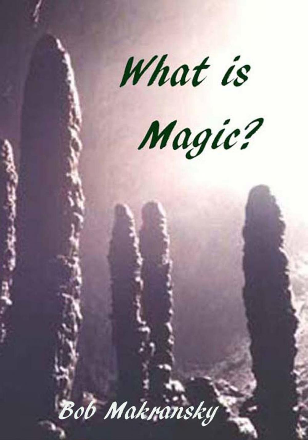 Big bigCover of What is Magic?