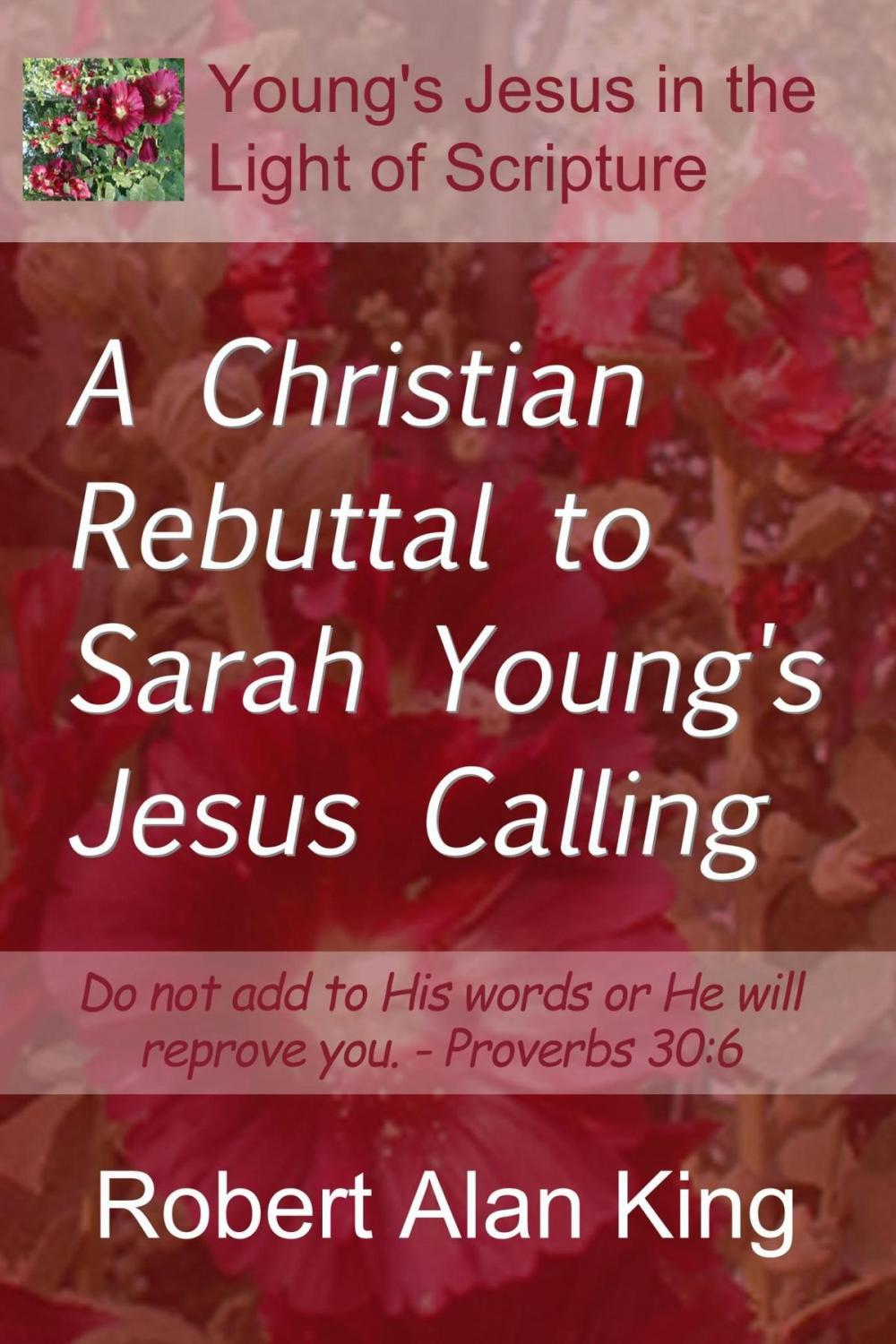 Big bigCover of A Christian Rebuttal to Sarah Young's Jesus Calling