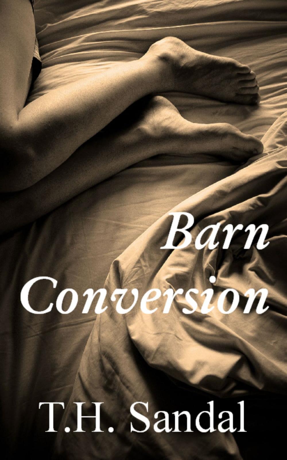 Big bigCover of Barn Conversion
