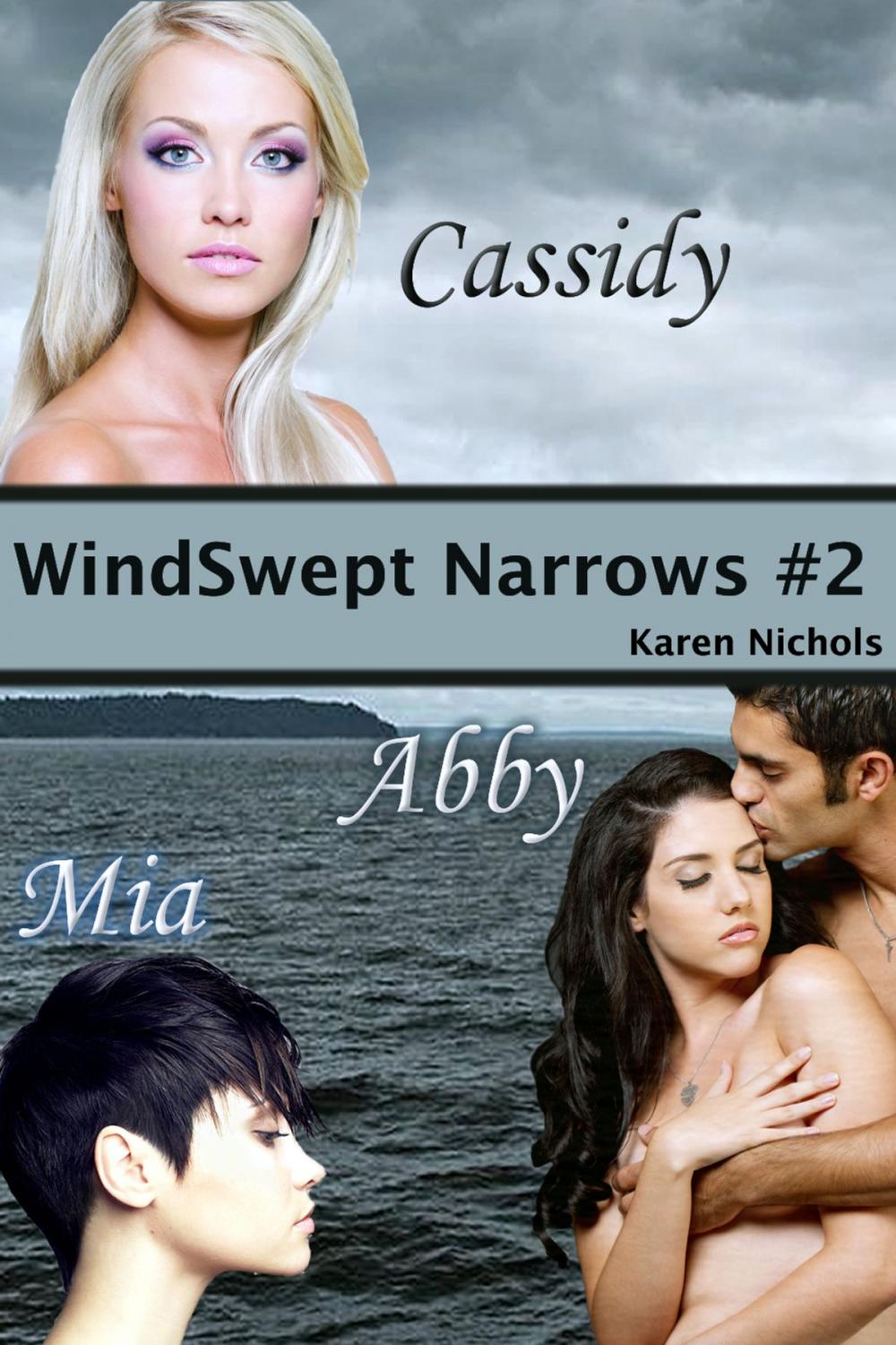 Big bigCover of WindSwept Narrows: #2 Cassidy, Abby & Mia