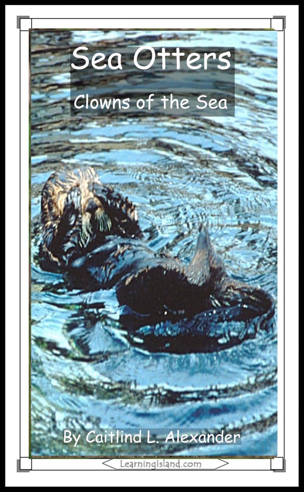 Big bigCover of Sea Otters: Clowns of the Sea