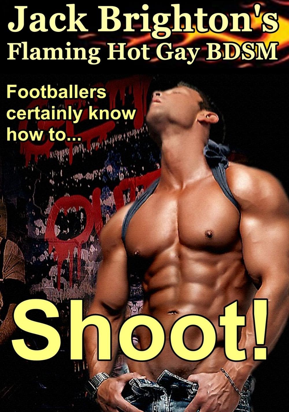 Big bigCover of Shoot!