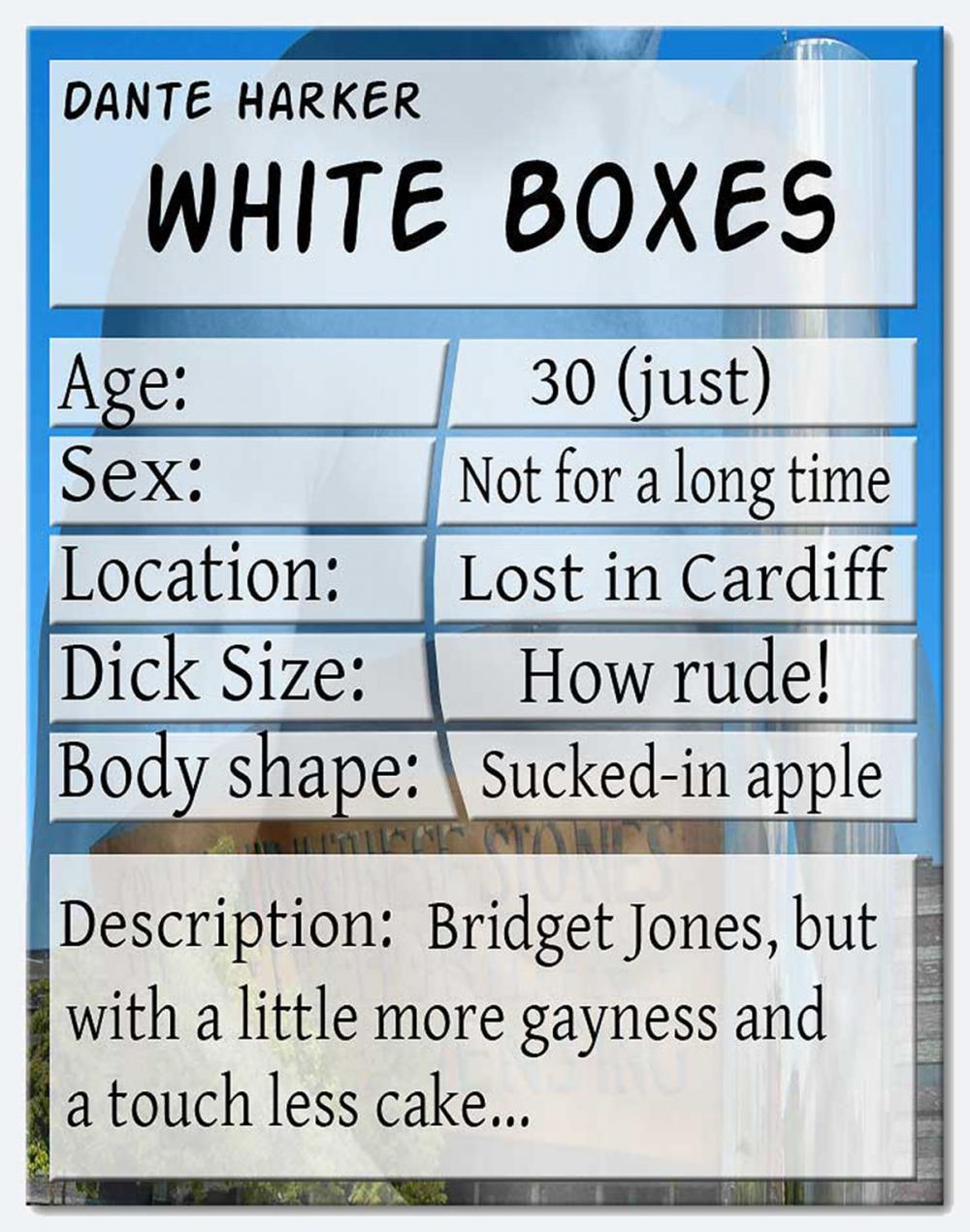 Big bigCover of White Boxes