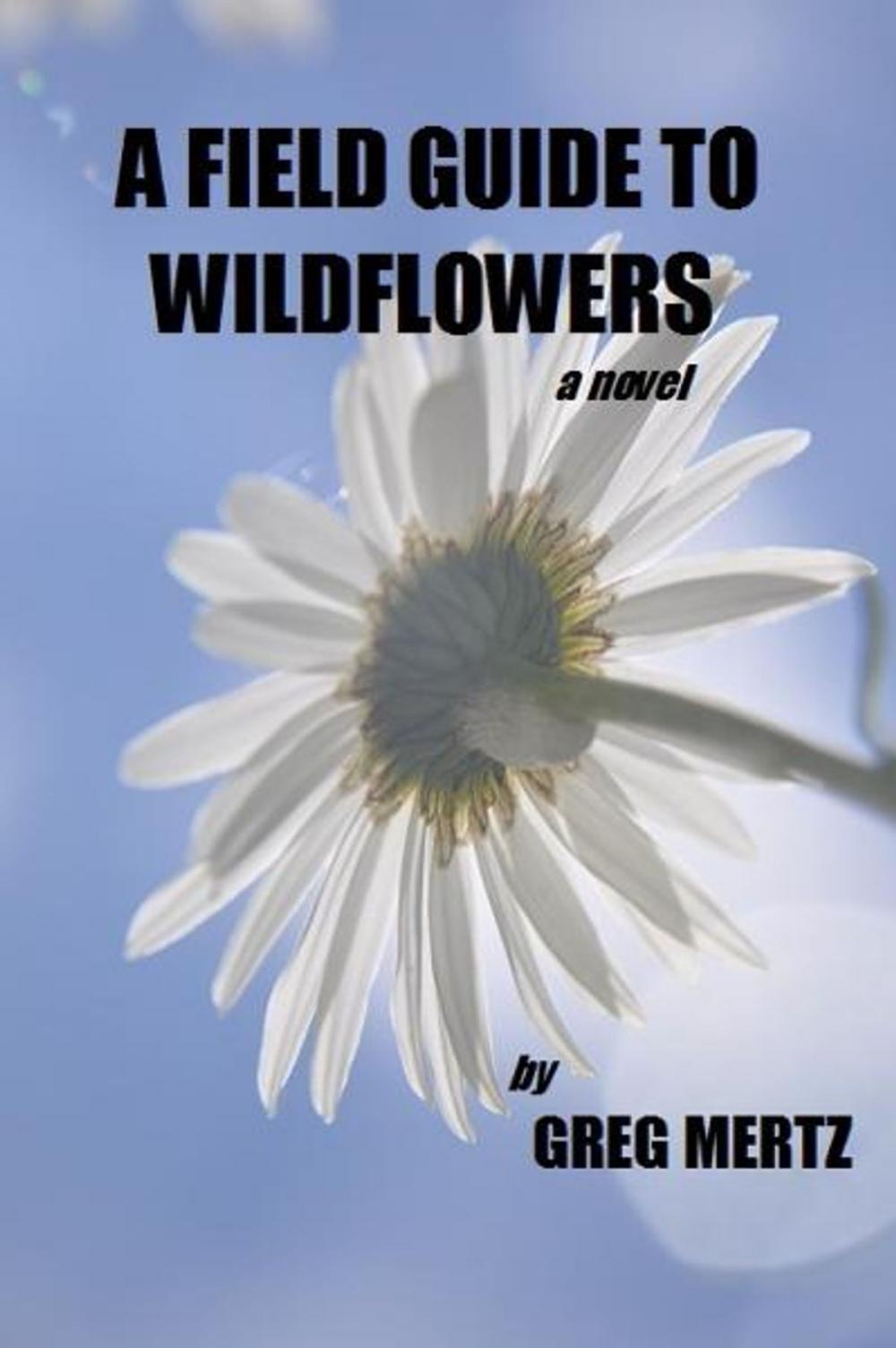 Big bigCover of A Field Guide To Wildflowers