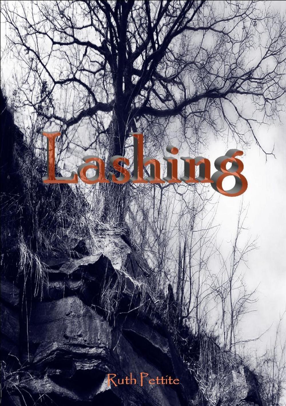 Big bigCover of Lashing