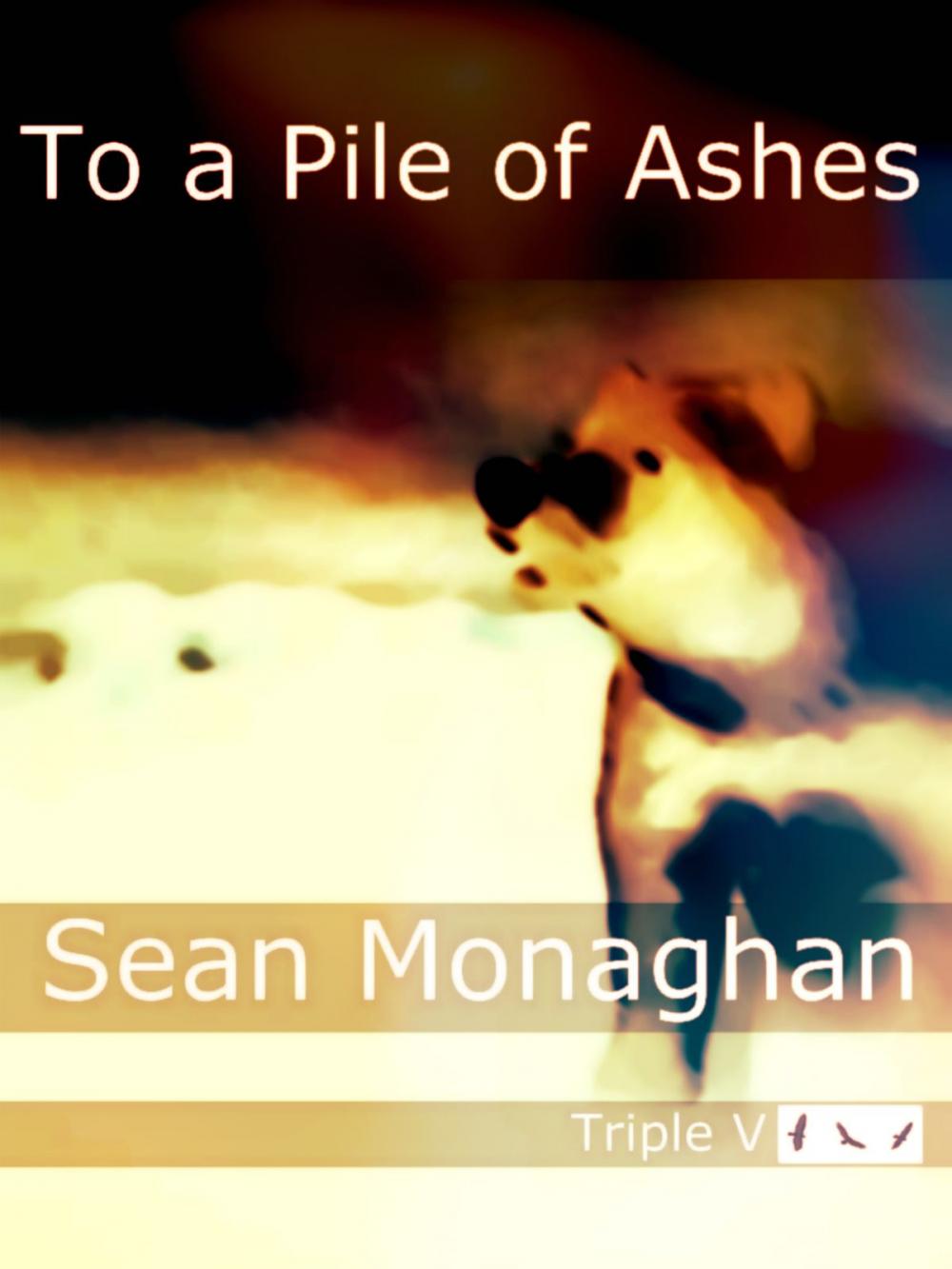 Big bigCover of To a Pile of Ashes